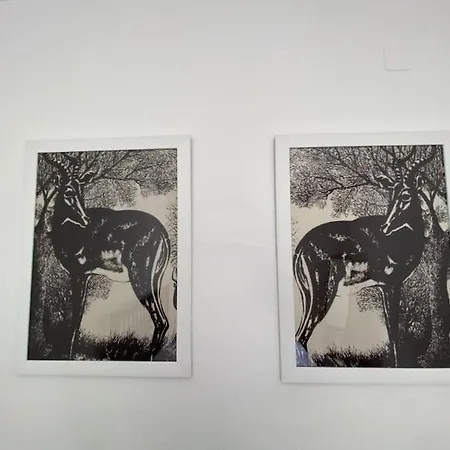 A Casa Da Carrasqueira, *